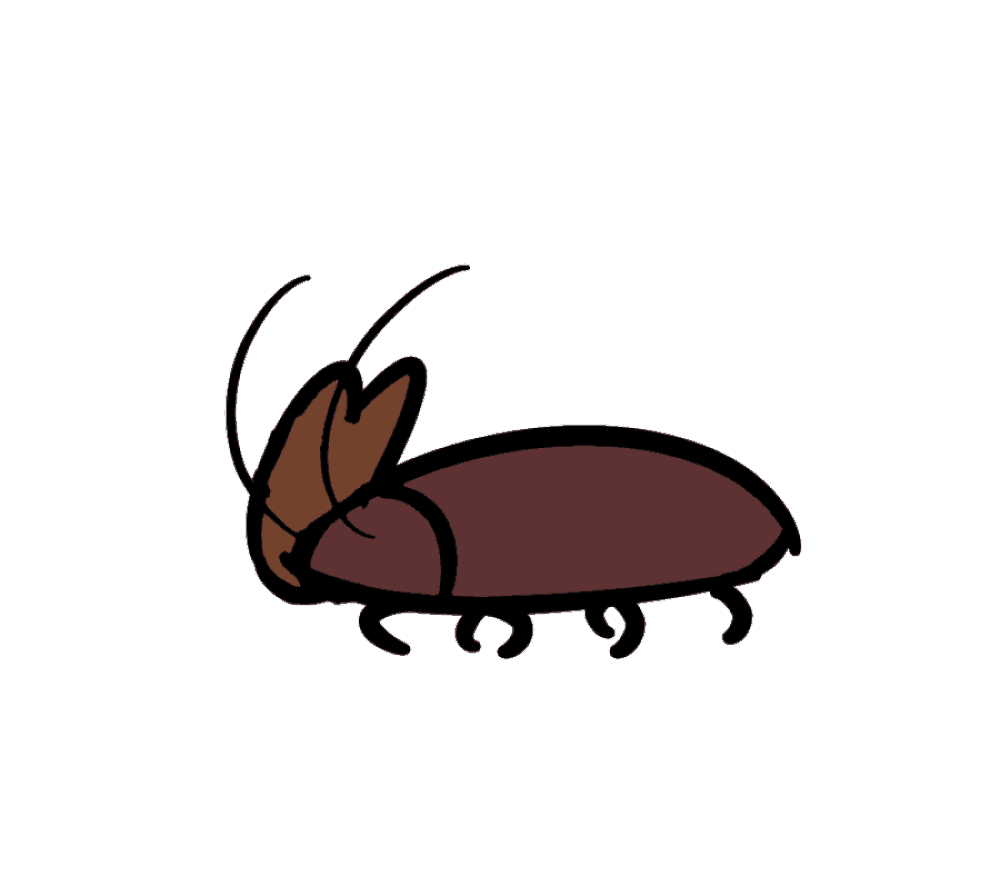Fig. 1: Artist, animator, and backflip extraordinaire